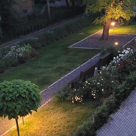 Apartment Blekitny 奥普尔 外观 照片